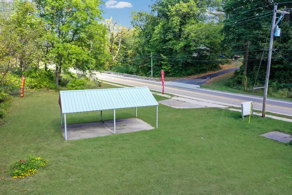 a view of a yard with plants