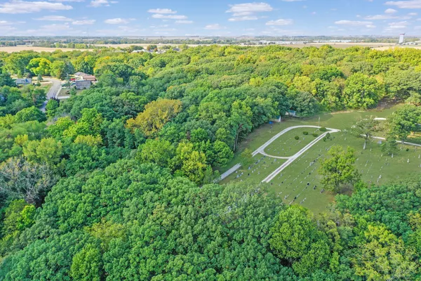 a view of a park with large trees