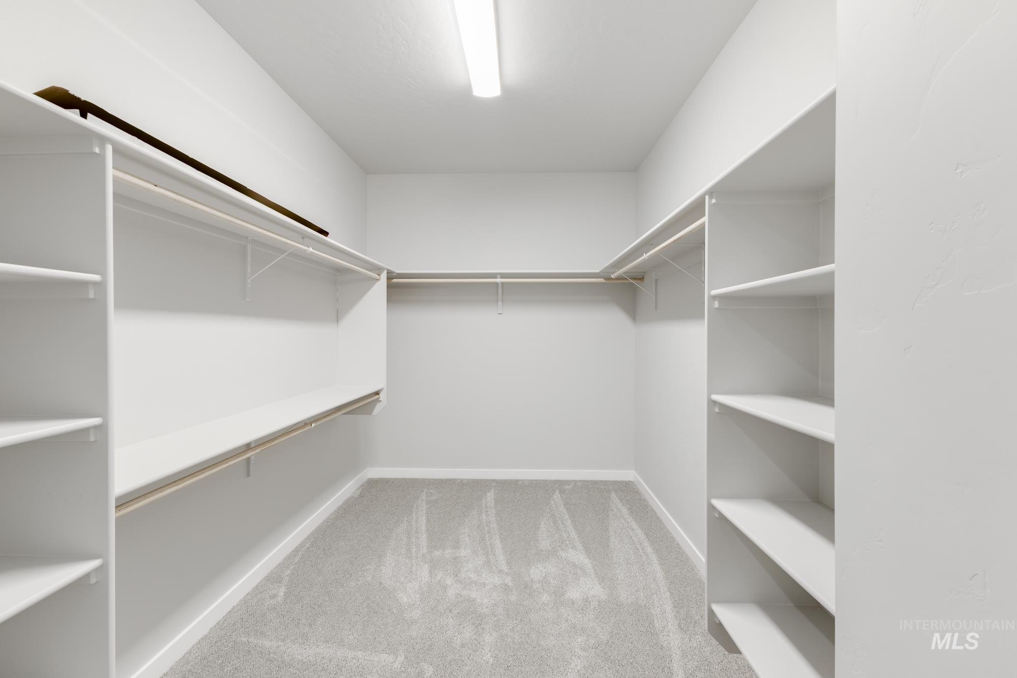 6494 South Sunfish Avenue Boise, ID 83709 - Photo 28 of 32 Walk in closet featuring light carpet