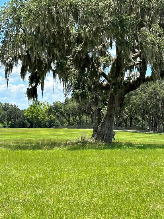 5540 Southeast 157th Street Road Summerfield, FL 34491 - Photo 24 of 26 a view of outdoor space and yard