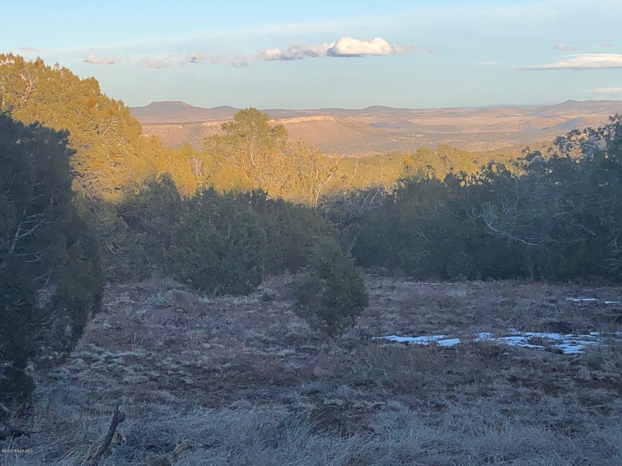Lot 656 Edge Ridge Road Seligman, AZ 86337 - Photo 3 of 36 IMG_2767