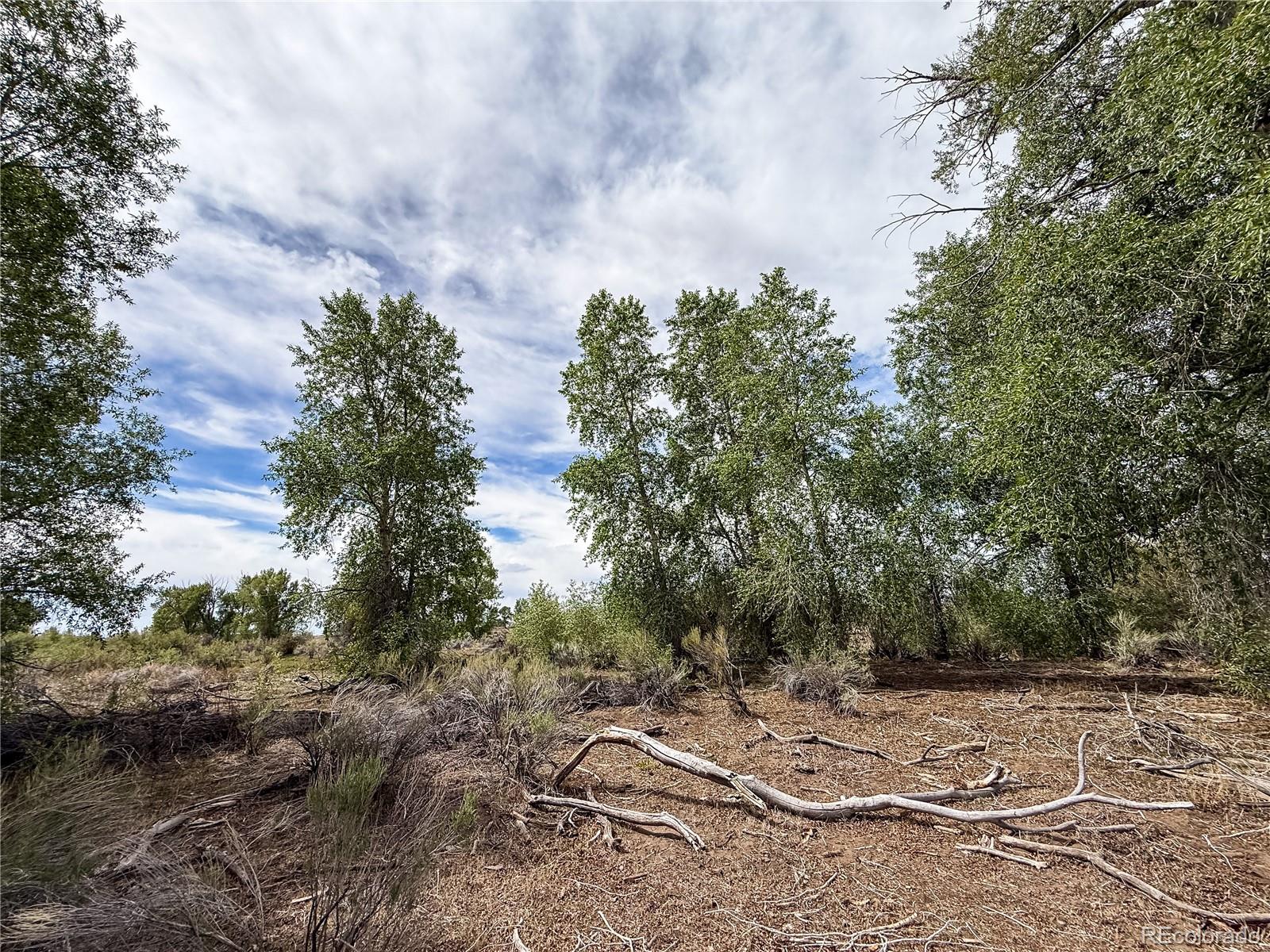 483 River Ranch Road Antonito, CO 81120 - Photo 21 of 36