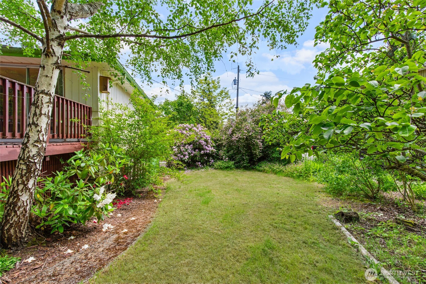 17543 7th Avenue Northeast Shoreline, WA 98155 - Photo 35 of 37 a view of a yard with plants and large trees