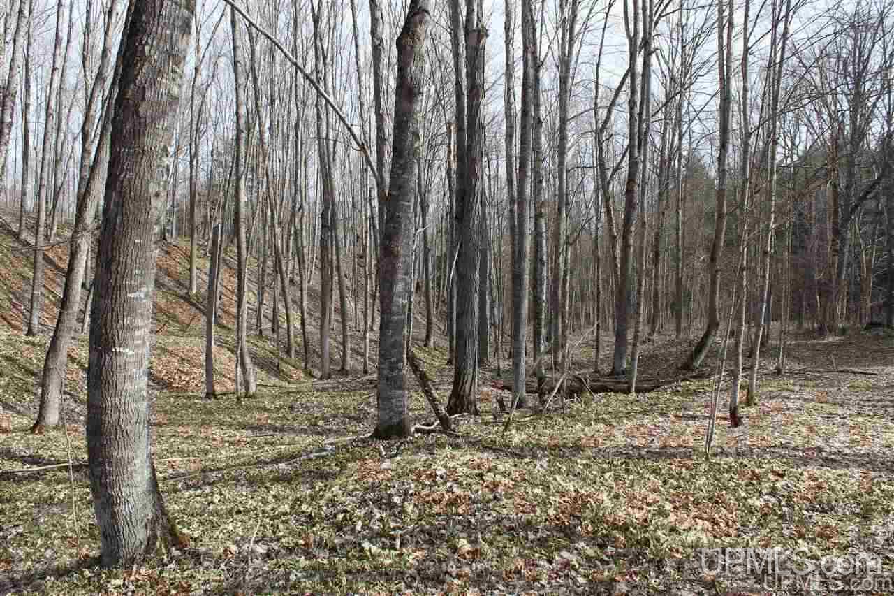Tbd Ward Road Skanee, MI 49962 - Photo 26 of 32 Gallery Image 26