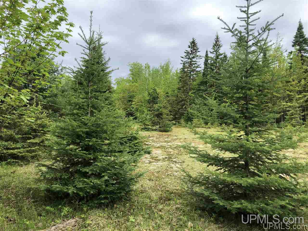 Tbd Will Pryor Road Big Bay, MI 49808 - Photo 2 of 18