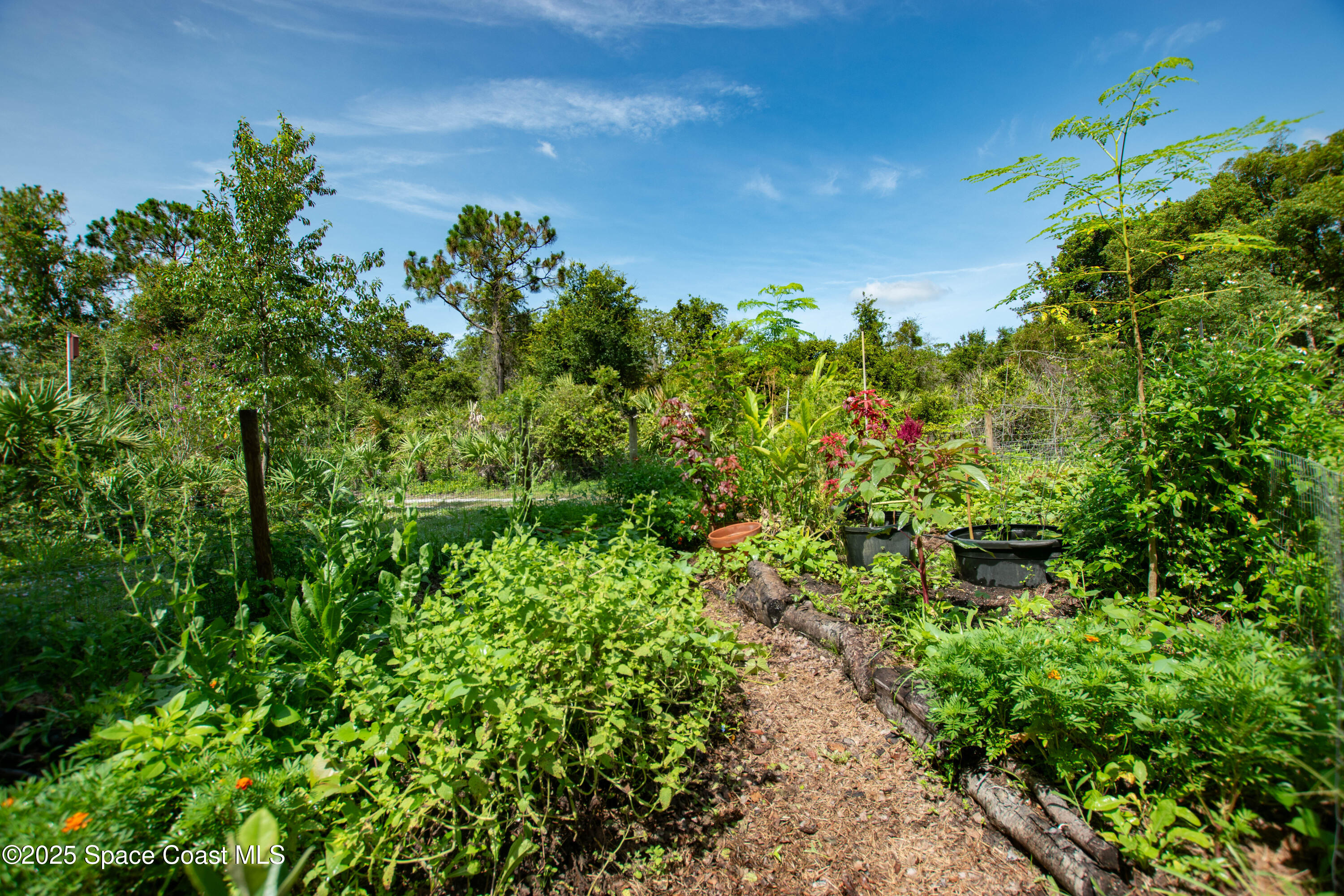 3565 Johns Road Mims, FL 32754 - Photo 36 of 52 garden