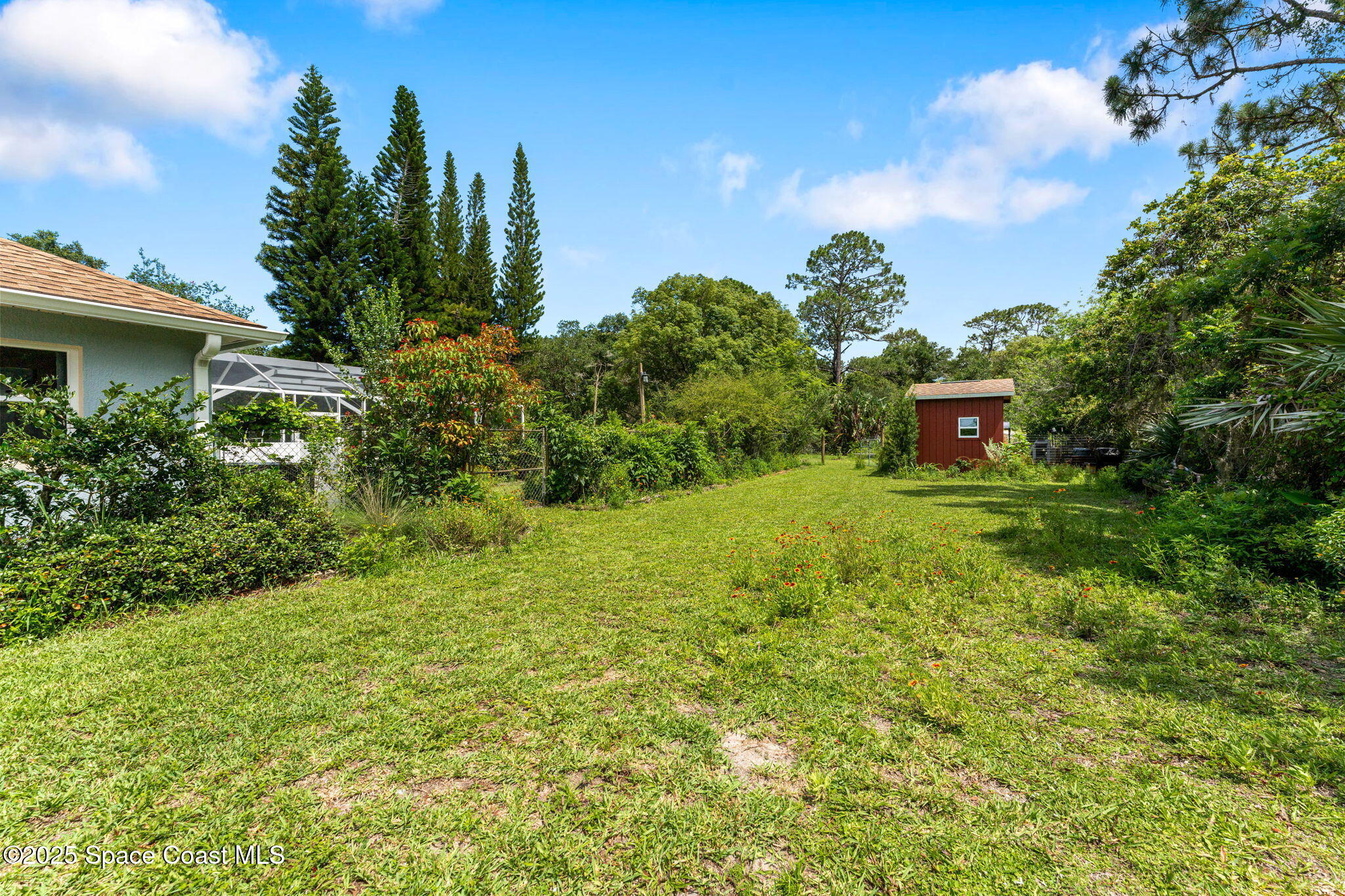3565 Johns Road Mims, FL 32754 - Photo 44 of 52 backyard