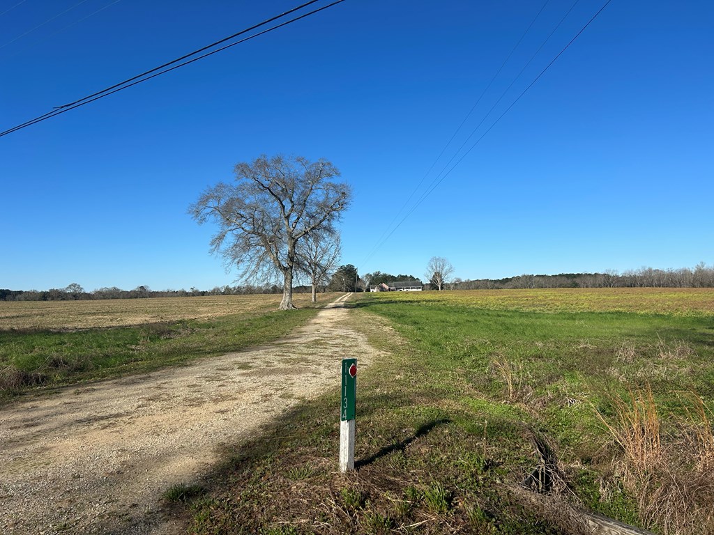 11034-11134 Cty Road Slocomb, AL 36375 - Photo 20 of 80