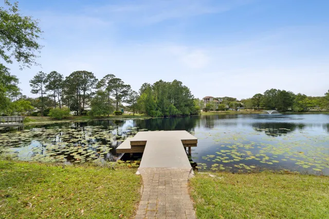 a view of a patio with table and chairs potted plants and large tree