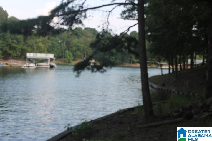 0 Red Cedar Drive, Unit 121 Wedowee, AL 36278 - Photo 10 of 21