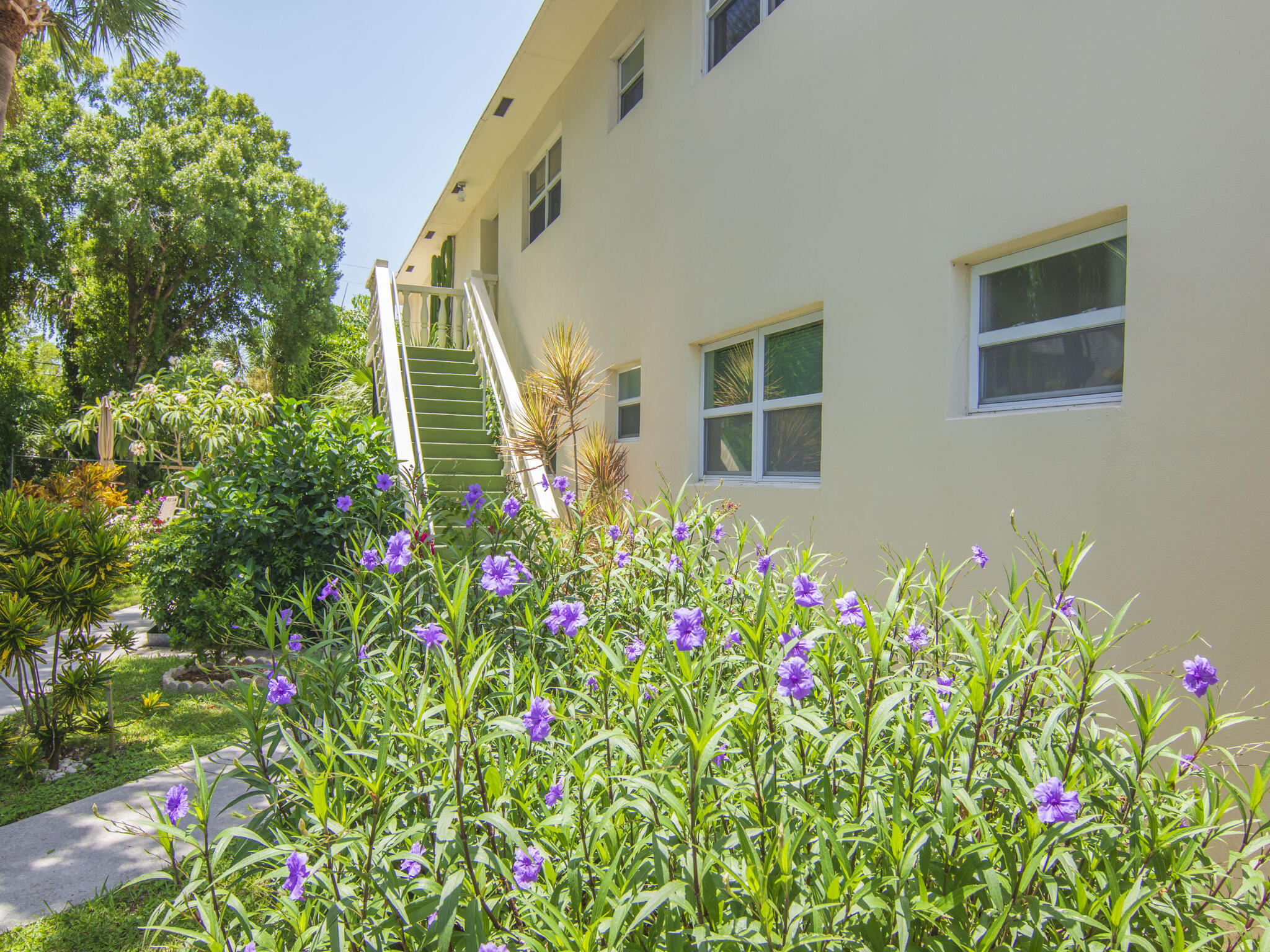 Undisclosed Address Vero Beach, FL 32960 - Photo 24 of 29 a flower plants in front of a house