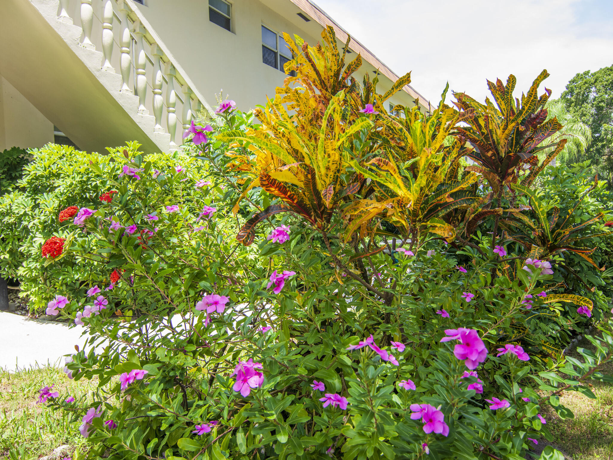 Undisclosed Address Vero Beach, FL 32960 - Photo 25 of 29 a flower view