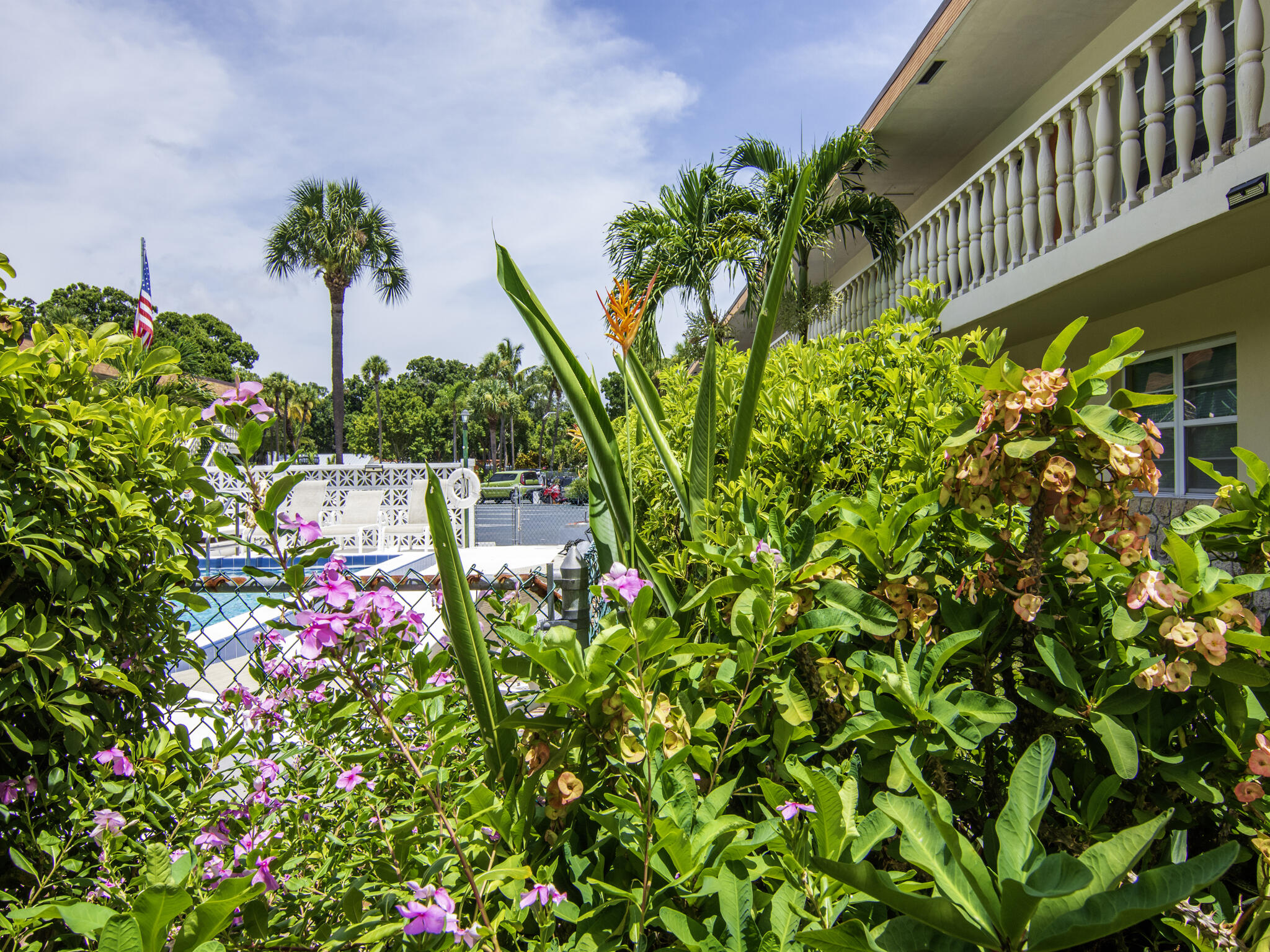 Undisclosed Address Vero Beach, FL 32960 - Photo 29 of 29 a picture of flowers
