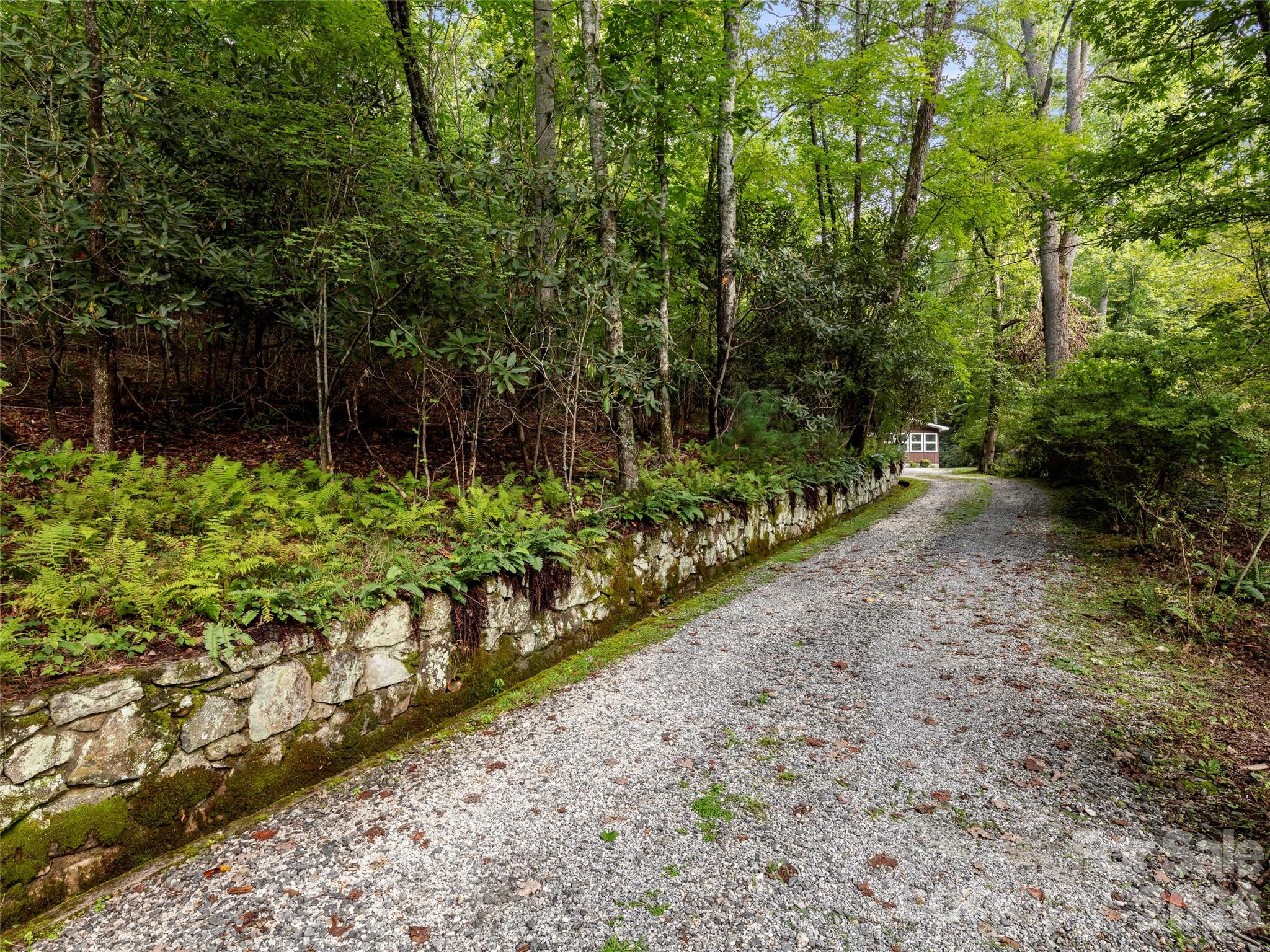 812 Crab Creek Road Hendersonville, NC 28739 - Photo 19 of 33 a view of a garden with plants and large trees