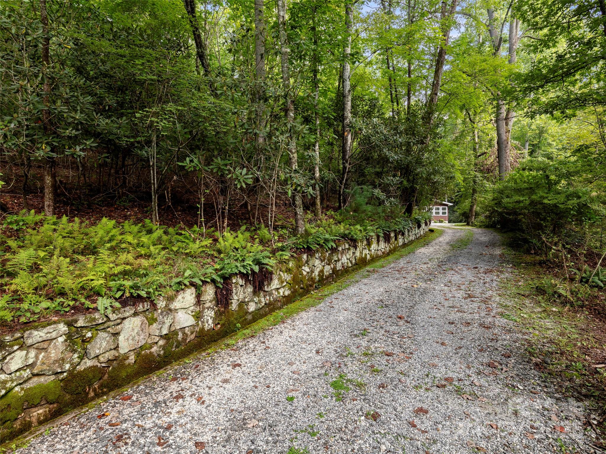 812 Crab Creek Road Hendersonville, NC 28739 - Photo 20 of 34 a view of a garden with plants and large trees