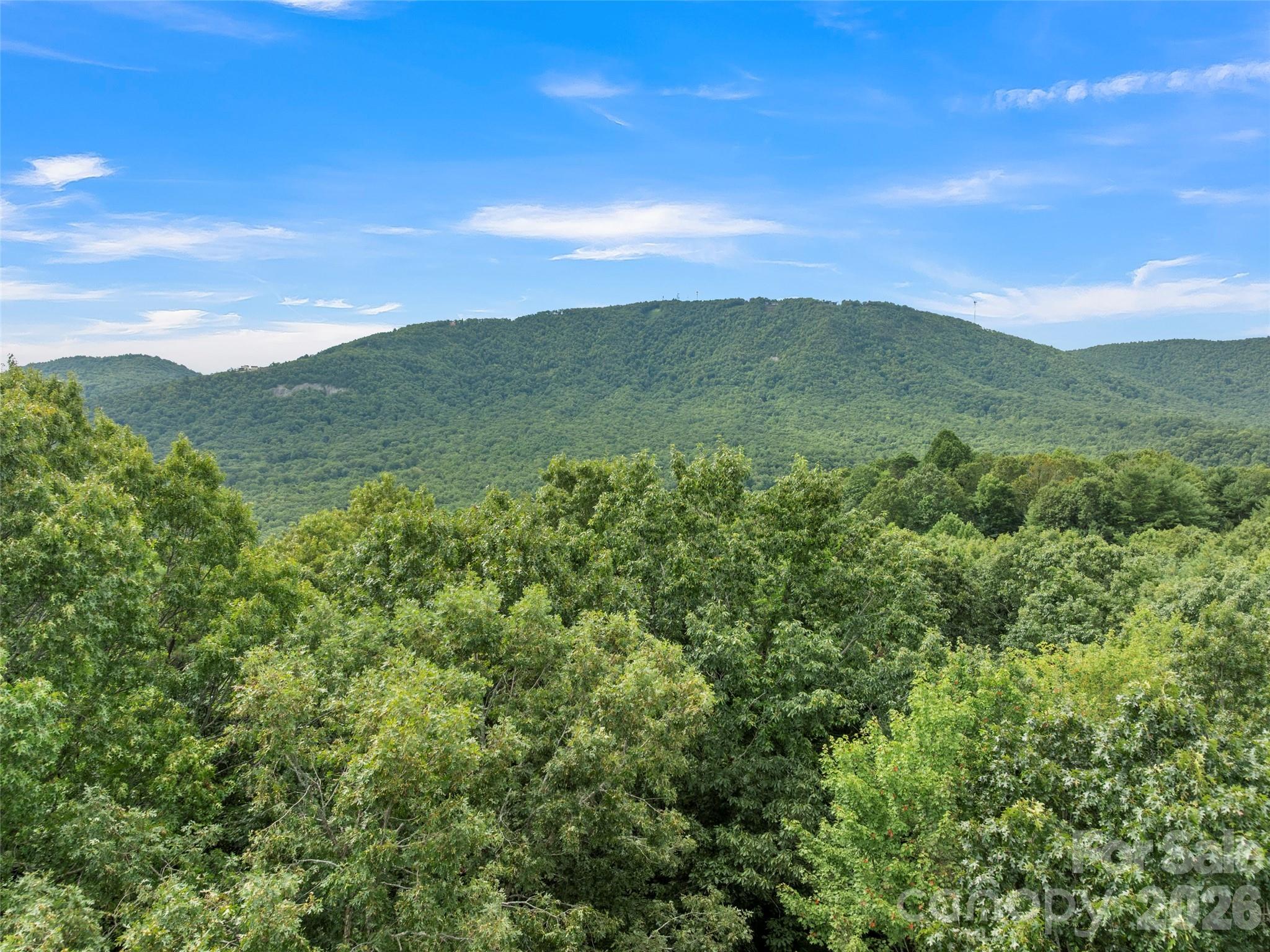 812 Crab Creek Road Hendersonville, NC 28739 - Photo 2 of 33 a view of a lush green hillside and a houses