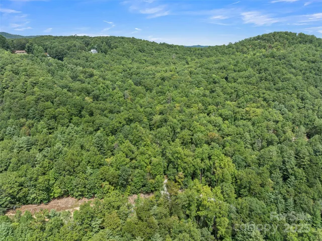 a view of a lush green outdoor space with a lake view