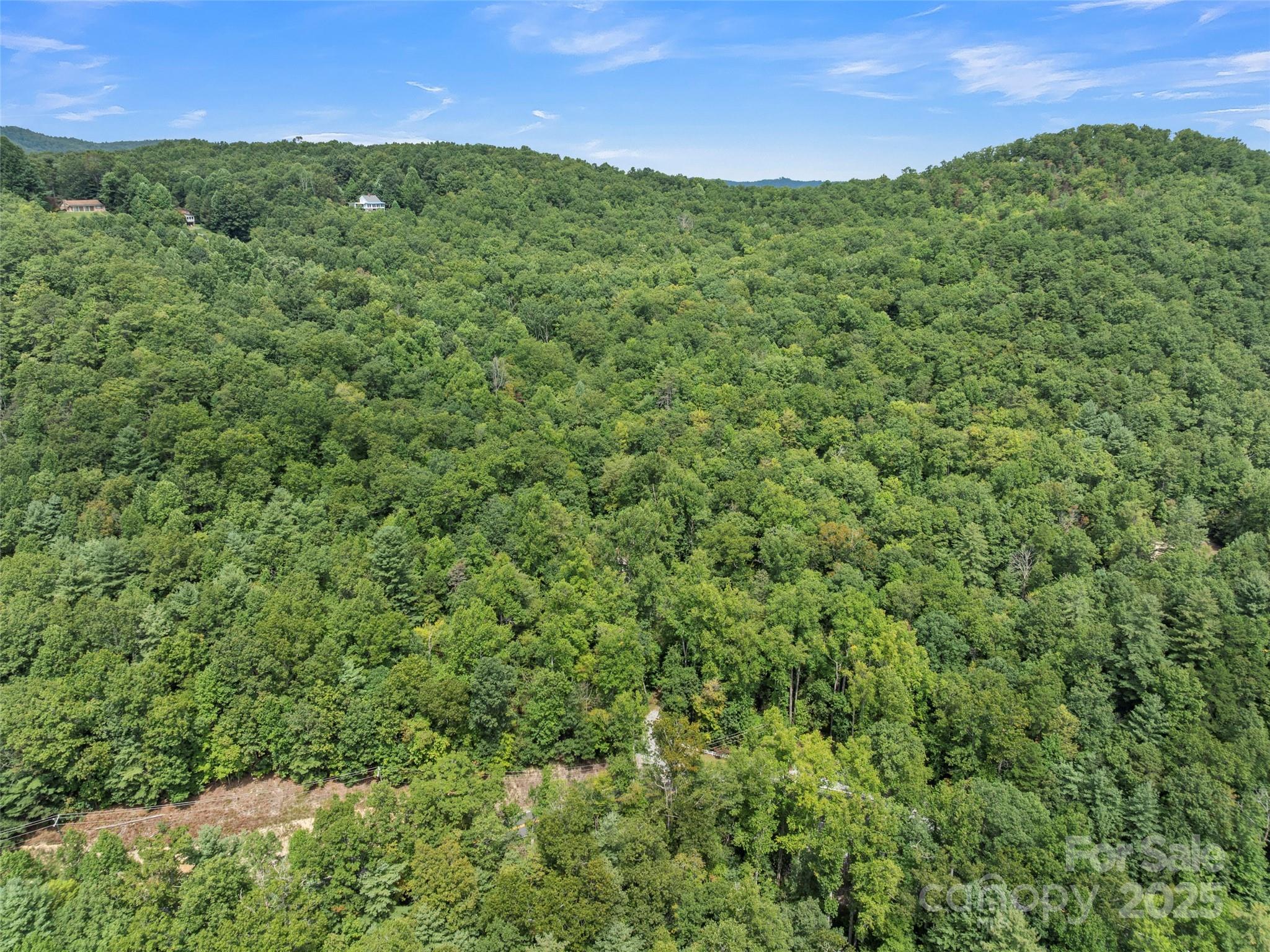 812 Crab Creek Road Hendersonville, NC 28739 - Photo 2 of 34 a view of a lush green outdoor space with a lake view