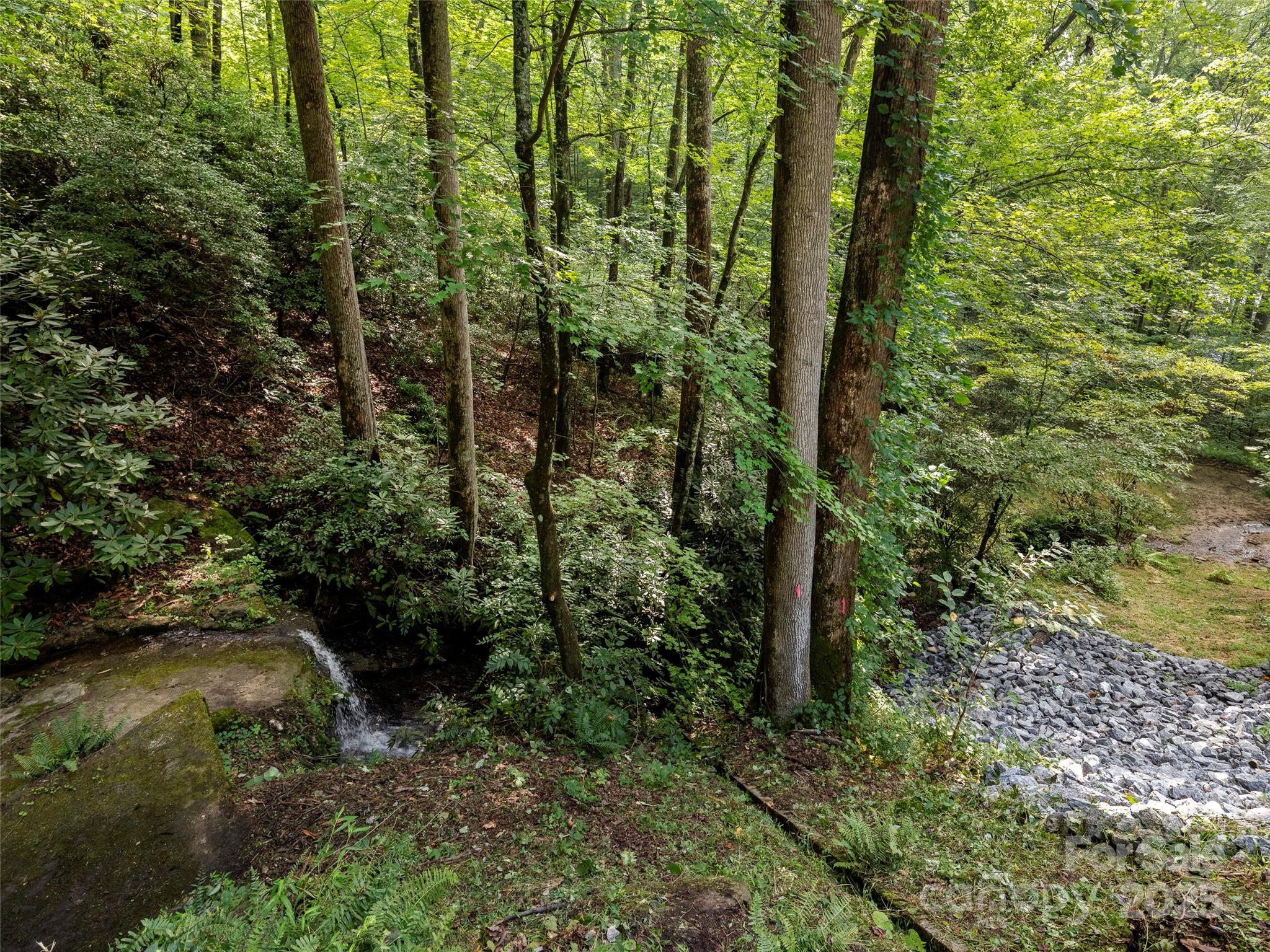 812 Crab Creek Road Hendersonville, NC 28739 - Photo 26 of 34 a view of outdoor space and a yard