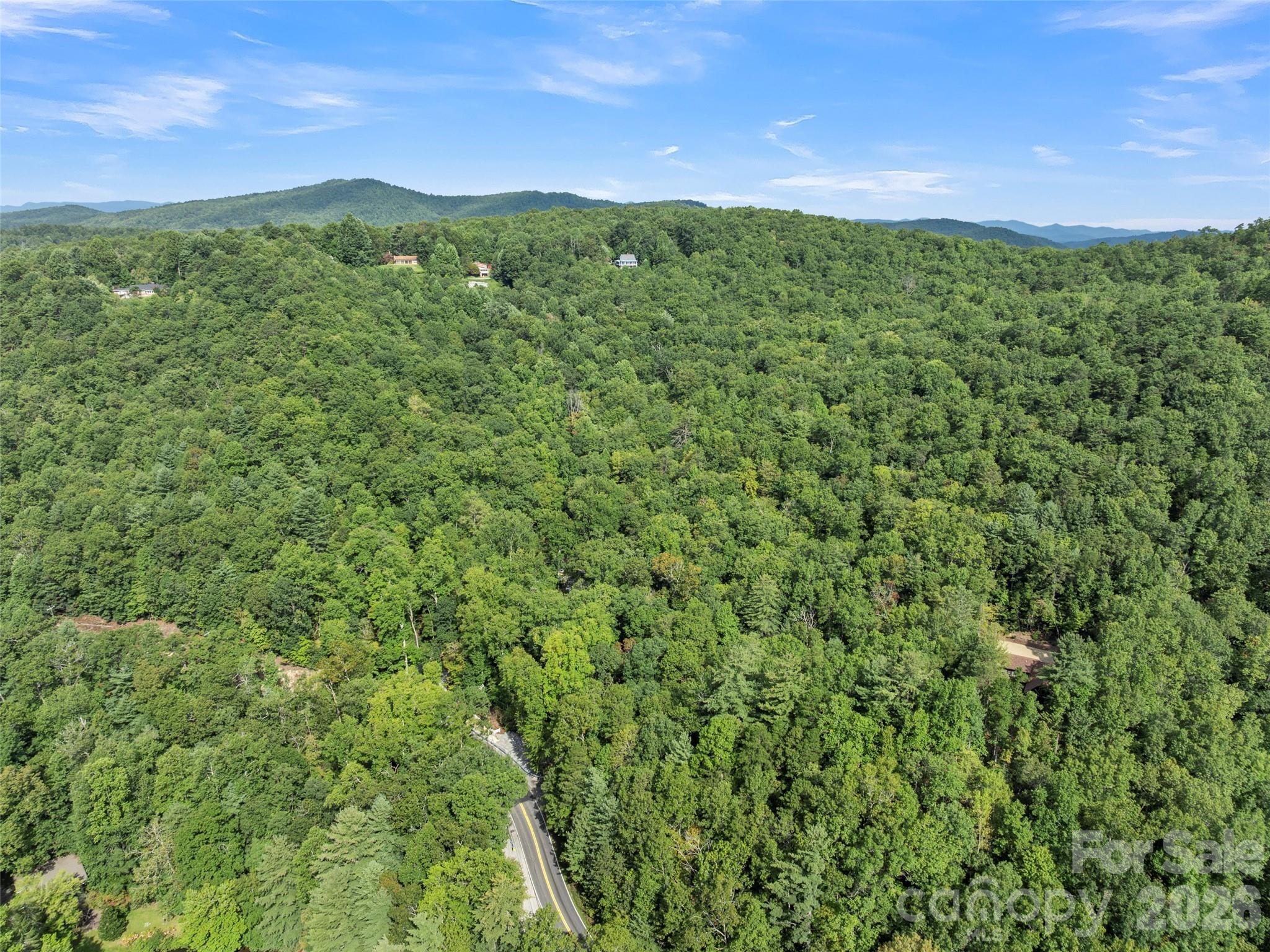 812 Crab Creek Road Hendersonville, NC 28739 - Photo 27 of 33 a view of a lush green forest with trees in the background