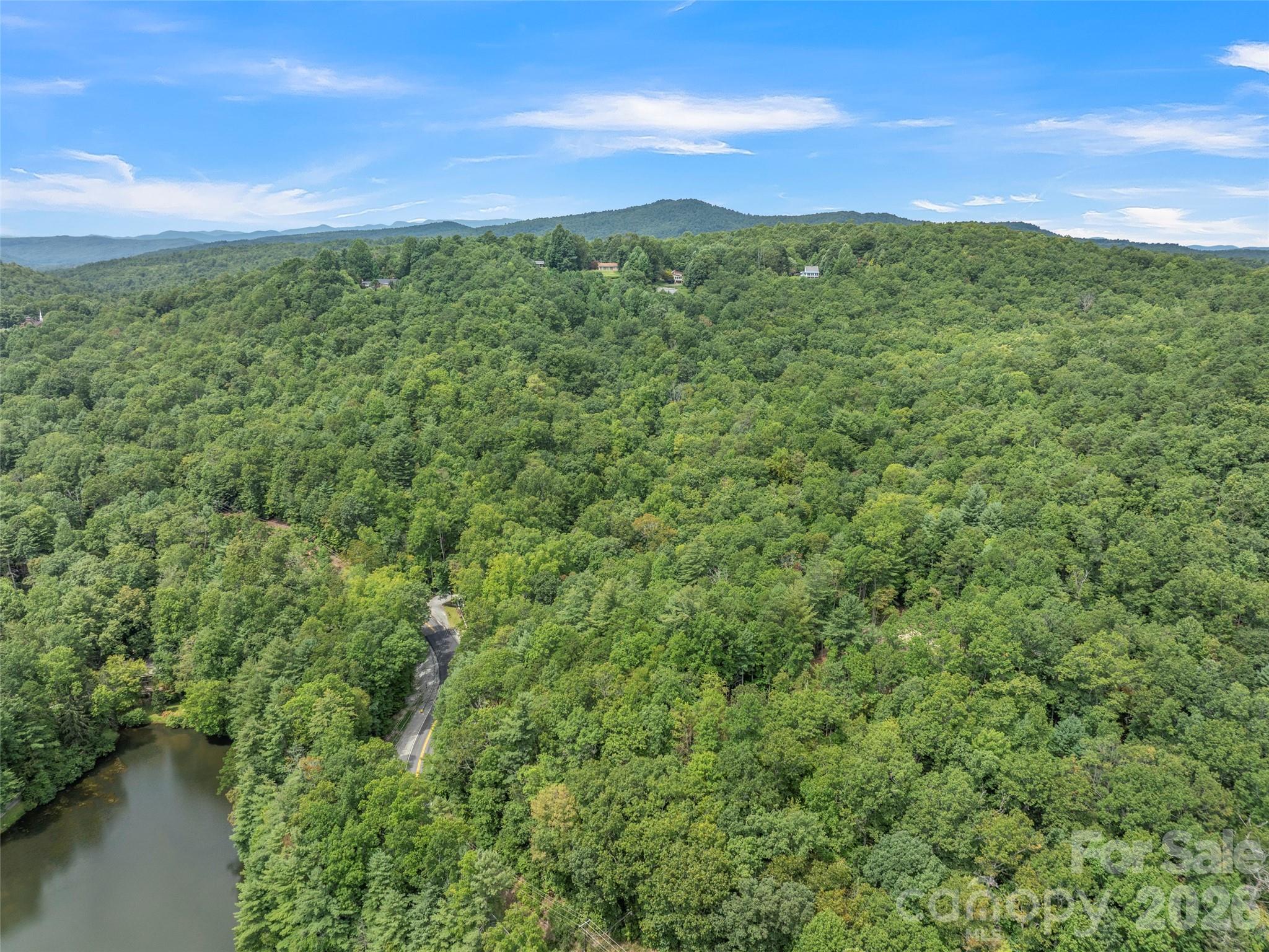 812 Crab Creek Road Hendersonville, NC 28739 - Photo 28 of 33 a view of a city with lush green forest