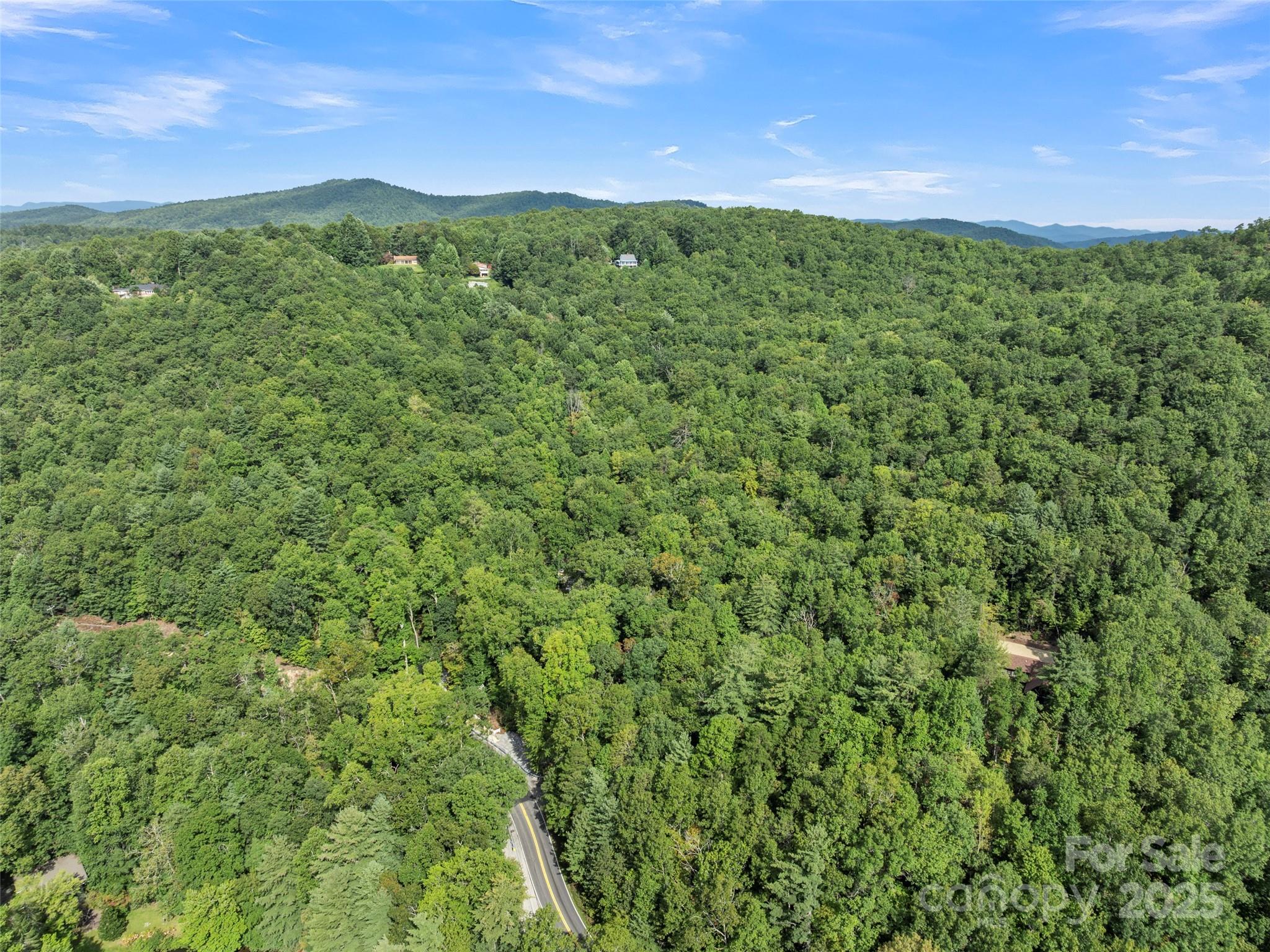 812 Crab Creek Road Hendersonville, NC 28739 - Photo 28 of 34 a view of a lush green forest with trees in the background