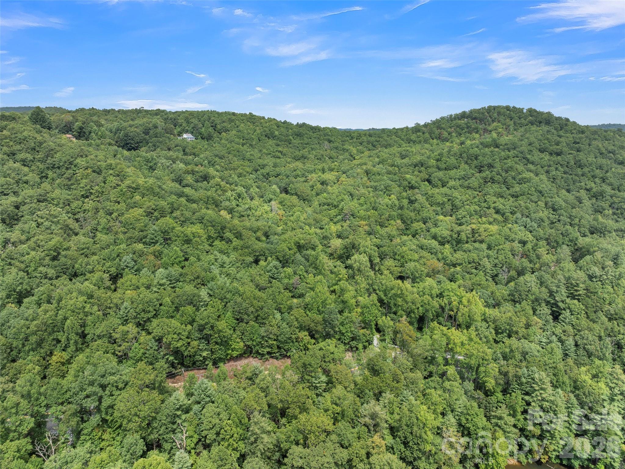 812 Crab Creek Road Hendersonville, NC 28739 - Photo 29 of 33 a view of a lush green field