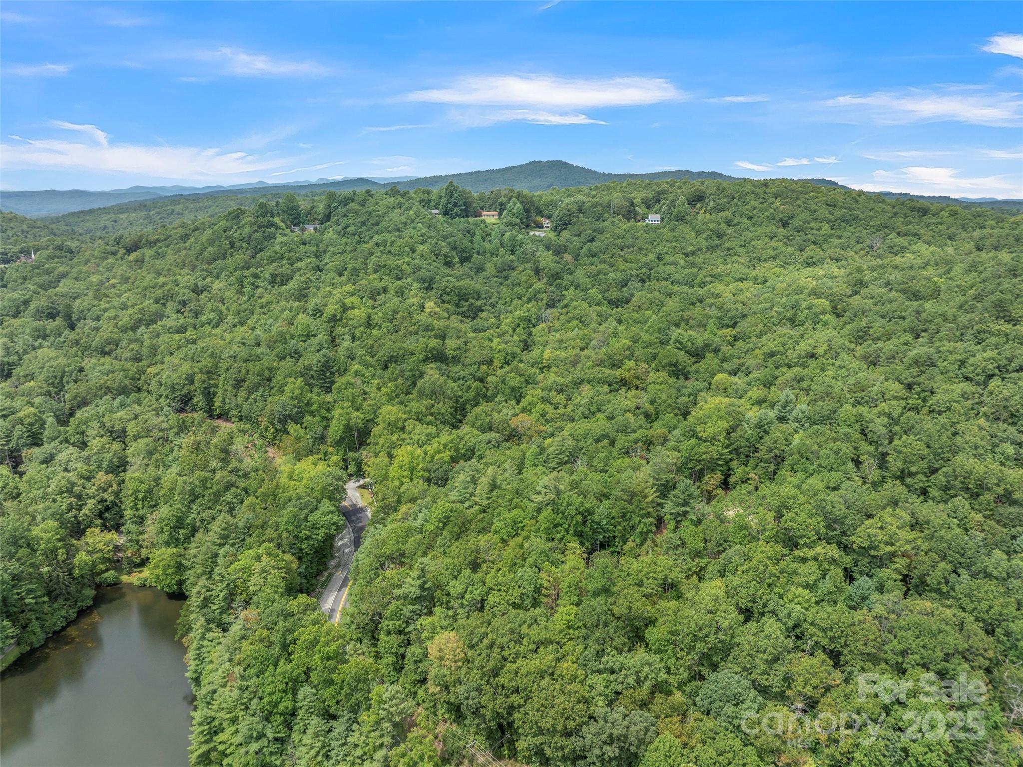 812 Crab Creek Road Hendersonville, NC 28739 - Photo 29 of 34 a view of a city with lush green forest