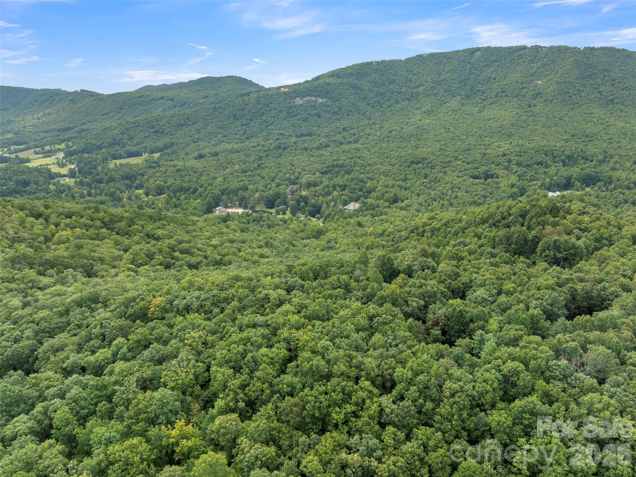 812 Crab Creek Road Hendersonville, NC 28739 - Photo 30 of 33 a view of a lush green hillside and houses