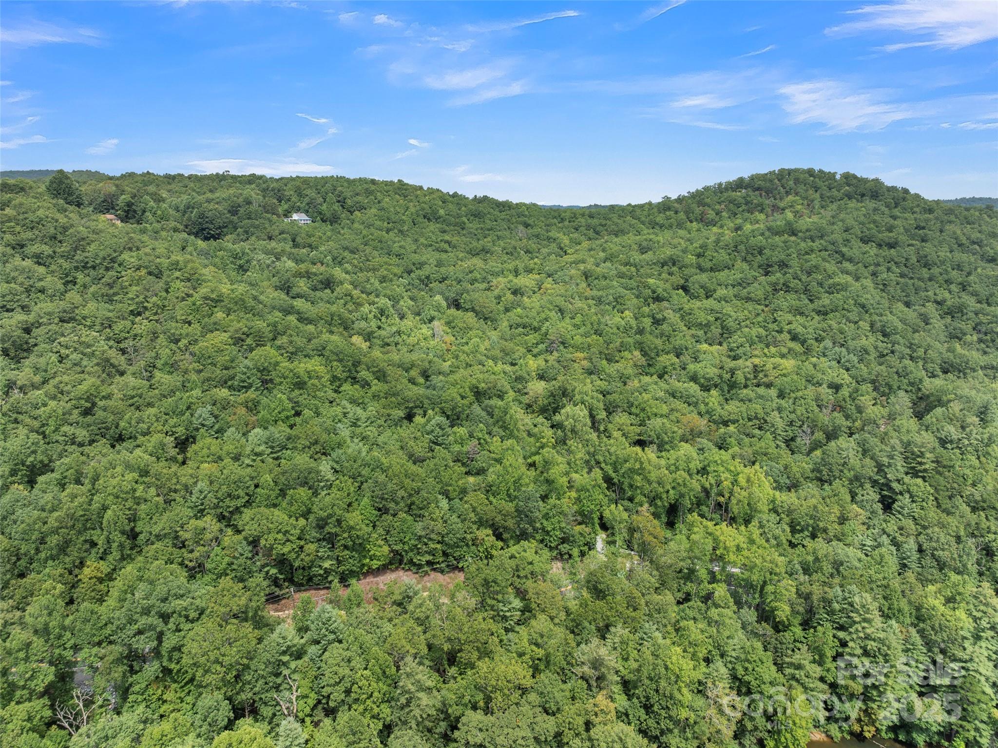 812 Crab Creek Road Hendersonville, NC 28739 - Photo 30 of 34 a view of a lush green field