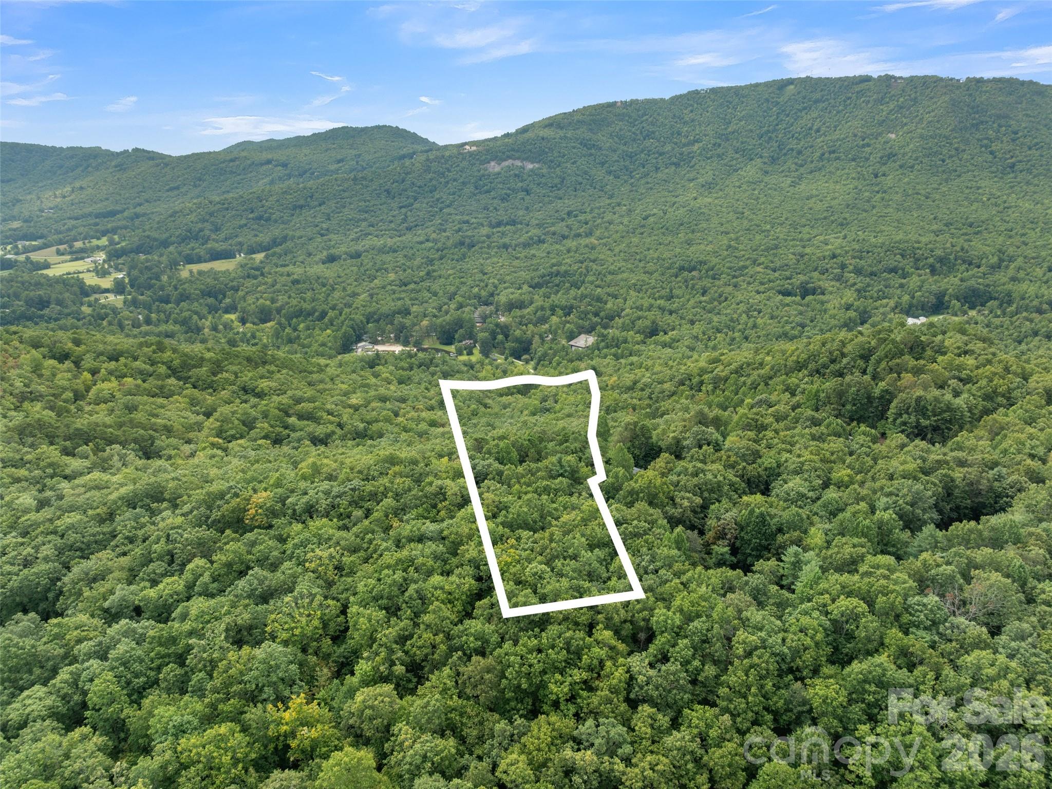 812 Crab Creek Road Hendersonville, NC 28739 - Photo 33 of 33