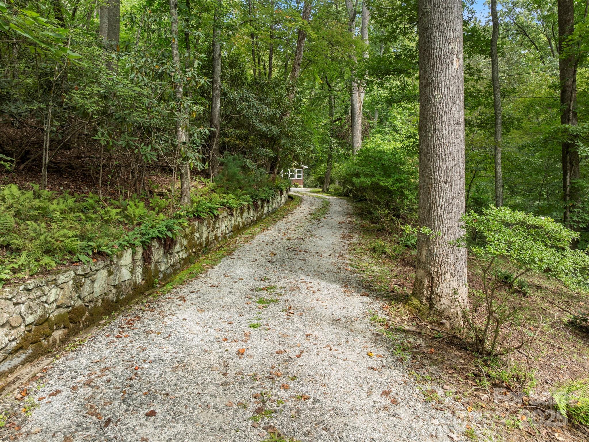 812 Crab Creek Road Hendersonville, NC 28739 - Photo 4 of 34 a view of backyard with green space
