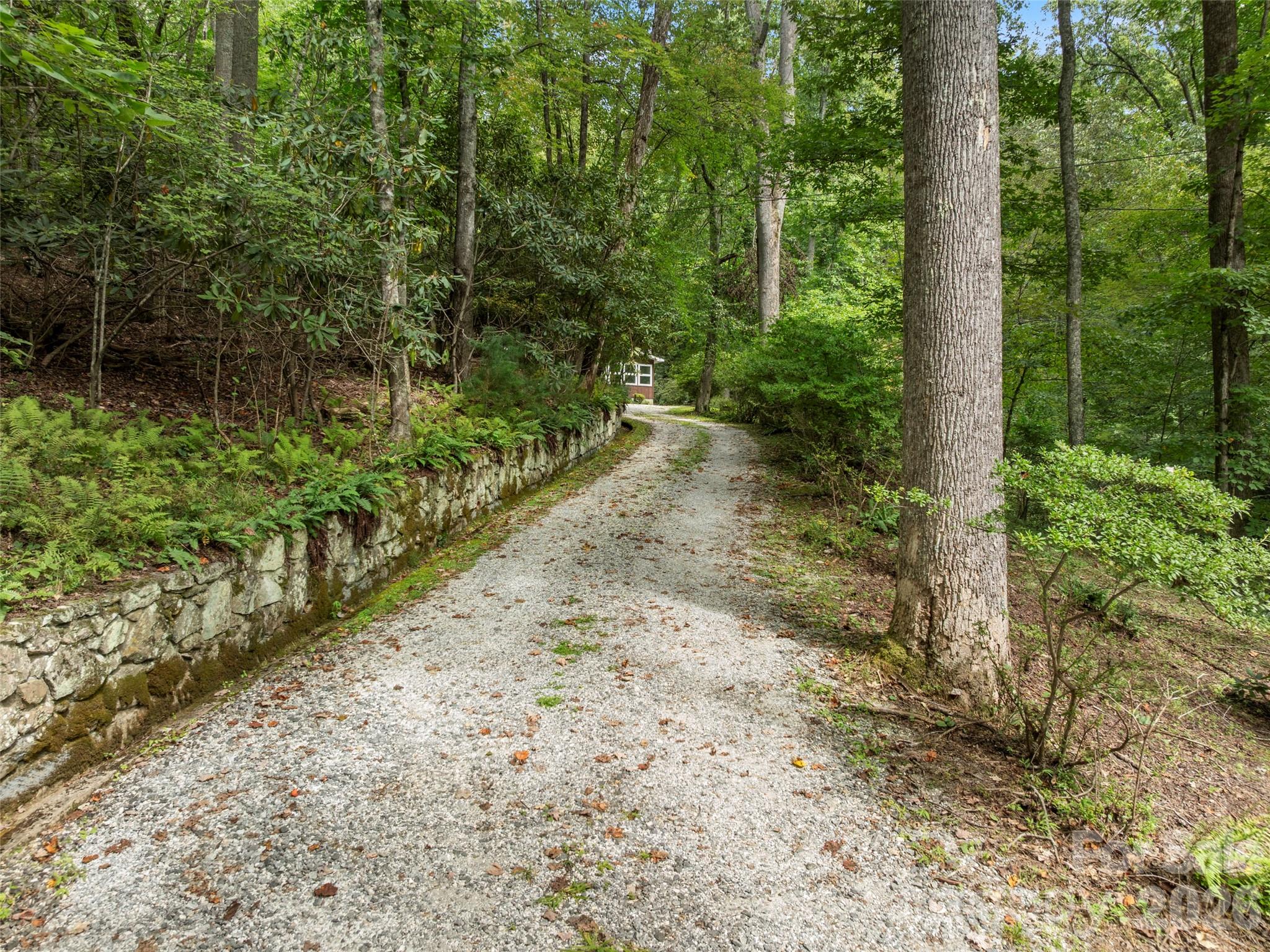 812 Crab Creek Road Hendersonville, NC 28739 - Photo 5 of 33 a view of backyard with green space