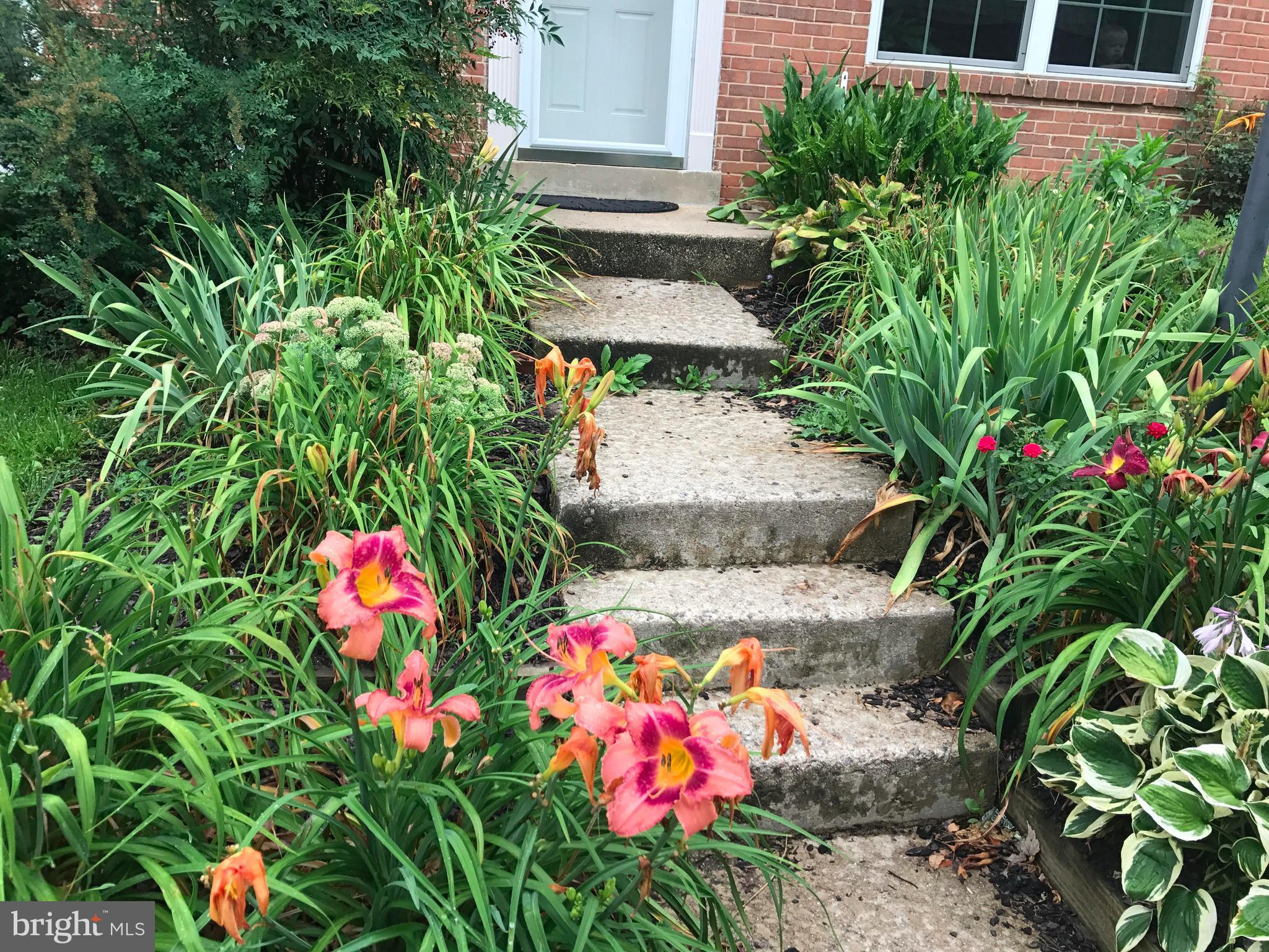 5809 Humblebee Road Columbia, MD 21045 - Photo 2 of 29 Flower gardens