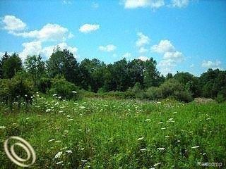 Par A Par A Faussett Road Howell, MI 48855 - Photo 1 of 1 Faussett Rd.jpg