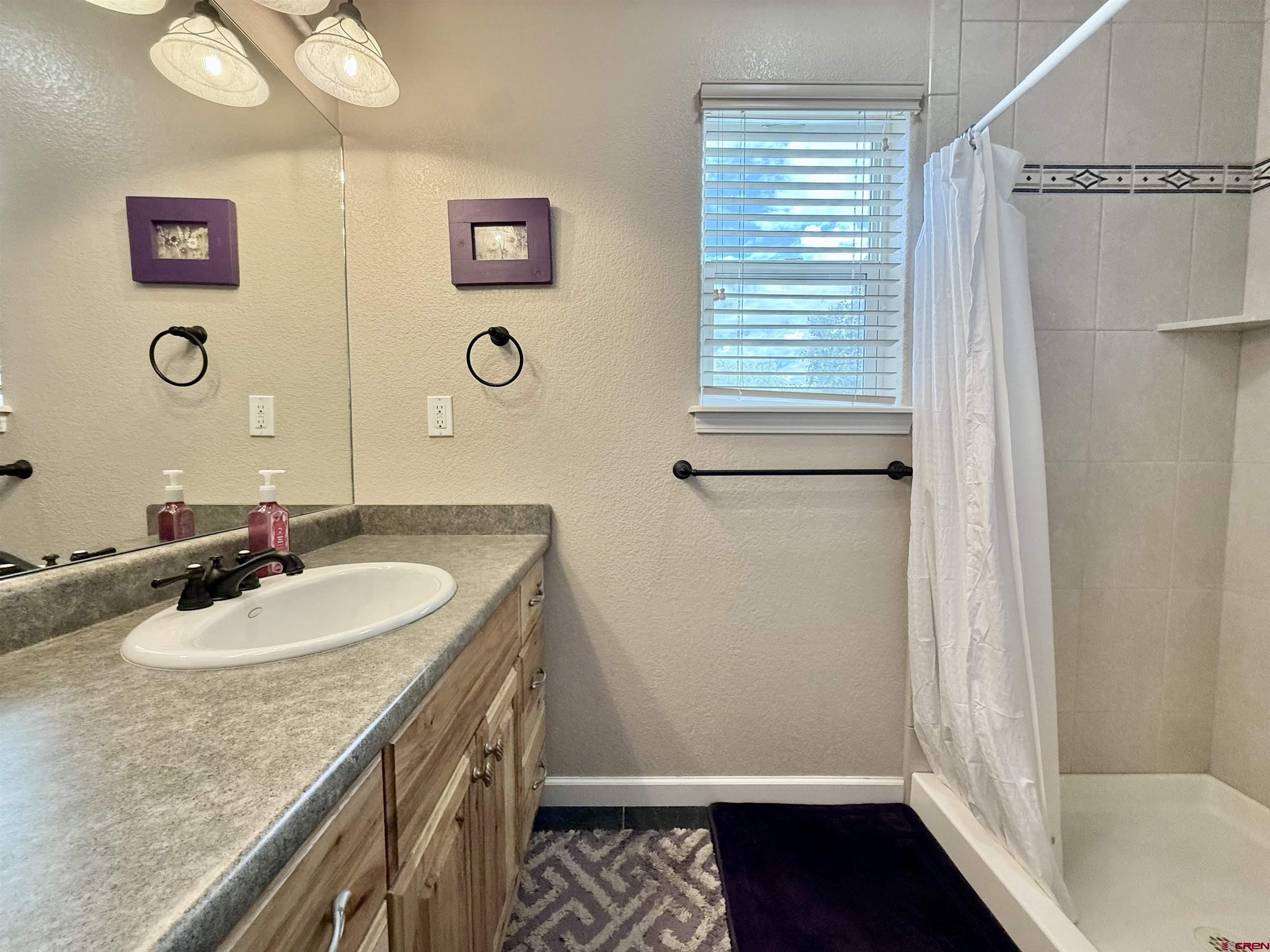 2941 Lost Creek Road North Montrose, CO 81401 - Photo 23 of 45 a bathroom with a granite countertop sink a mirror and a shower