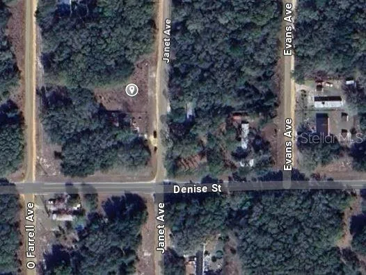 a view of the house with a yard