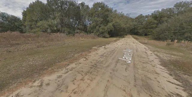 a view of a yard with trees in the background