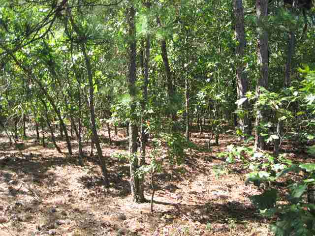 Lot 2 Red Hill Road Cameron, NC 28326 - Photo 1 of 9 Primary Photo