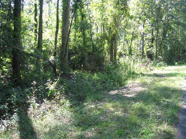 Lot 2 Red Hill Road Cameron, NC 28326 - Photo 3 of 9 Additional Photo
