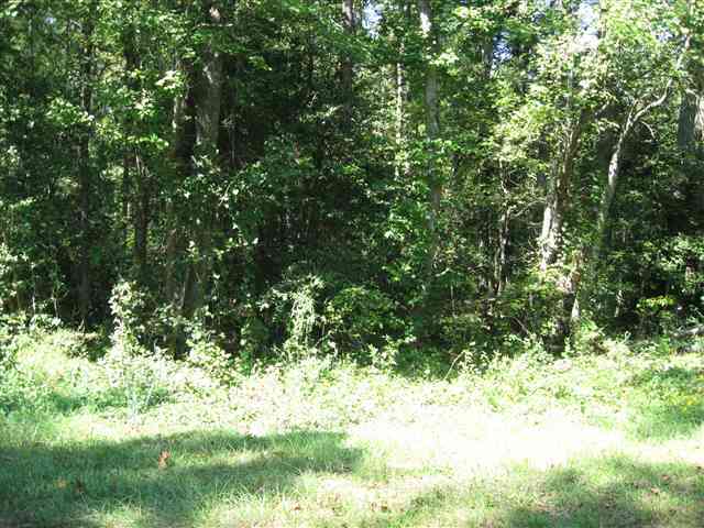 Lot 2 Red Hill Road Cameron, NC 28326 - Photo 4 of 9 Additional Photo