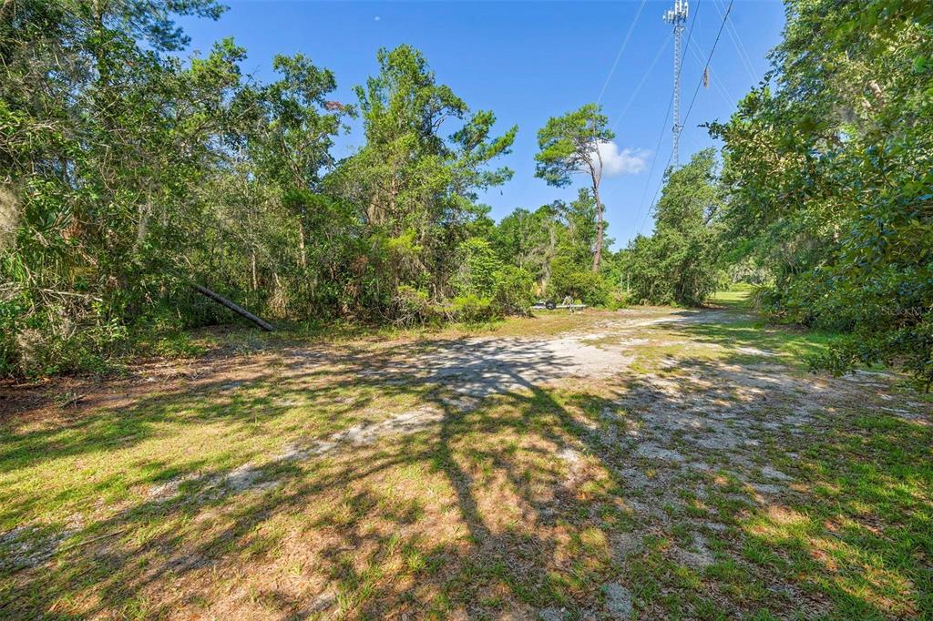 1835 South Glencoe Road New Smyrna Beach, FL 32168 - Photo 11 of 29 a view of a yard with plants and large trees