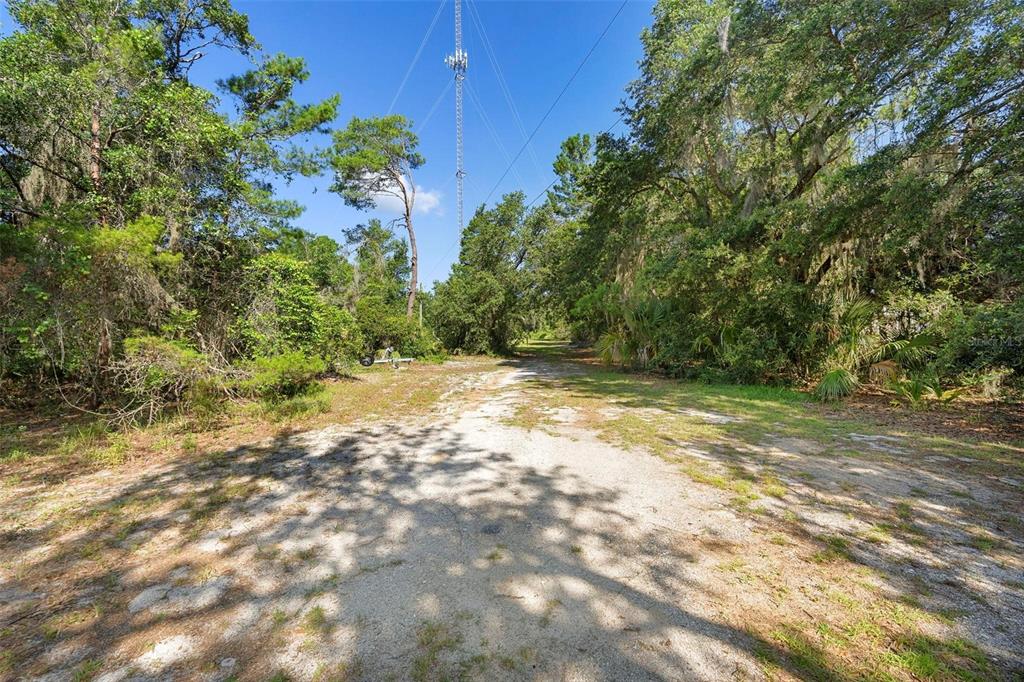 1835 South Glencoe Road New Smyrna Beach, FL 32168 - Photo 12 of 29 a view of a yard with a tree