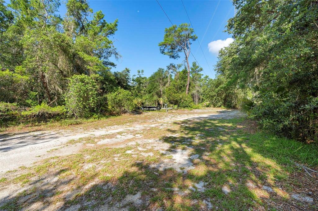 1835 South Glencoe Road New Smyrna Beach, FL 32168 - Photo 14 of 29 a view of a yard with a tree