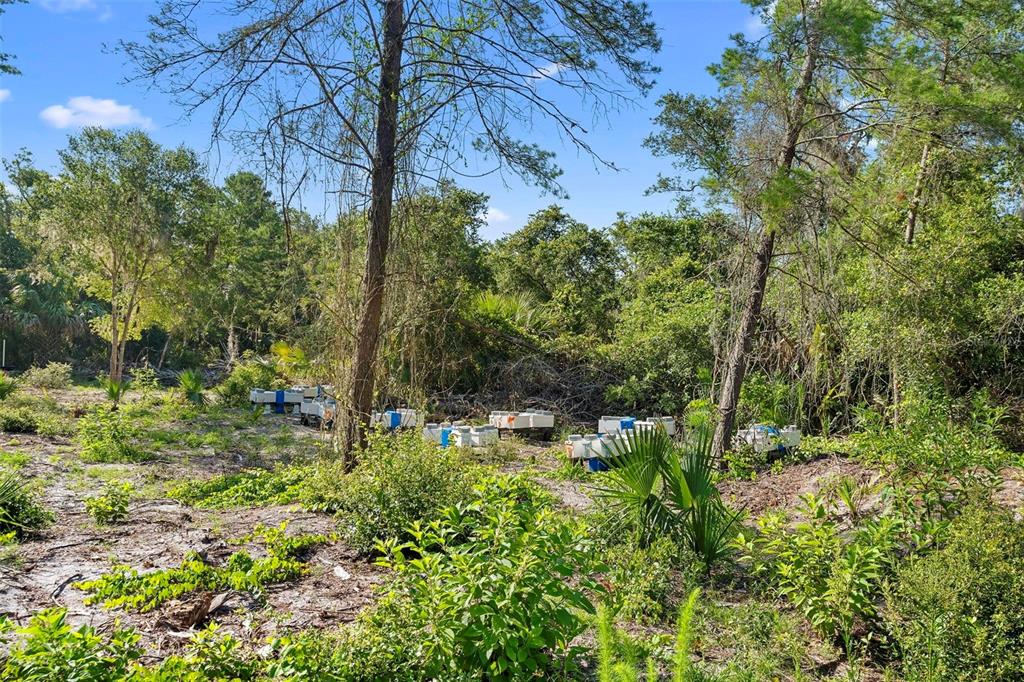1835 South Glencoe Road New Smyrna Beach, FL 32168 - Photo 17 of 29 a backyard of a house with lots of green space