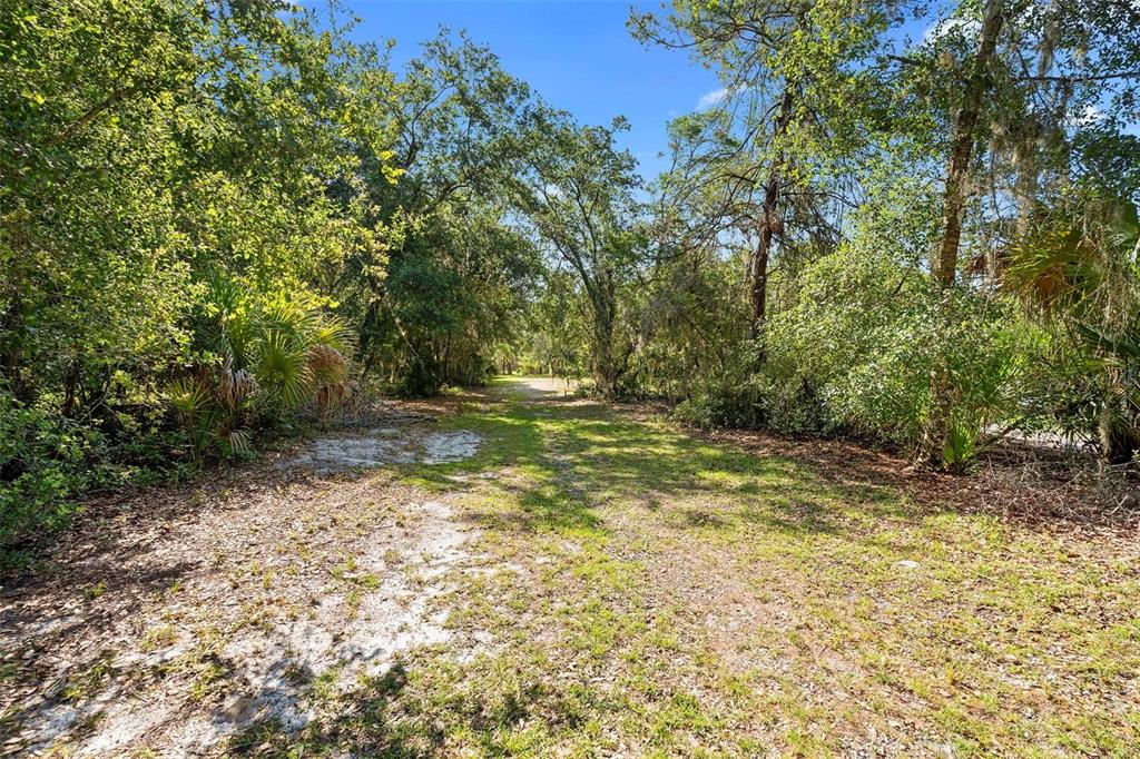 1835 South Glencoe Road New Smyrna Beach, FL 32168 - Photo 22 of 29 a view of a yard with plants and trees