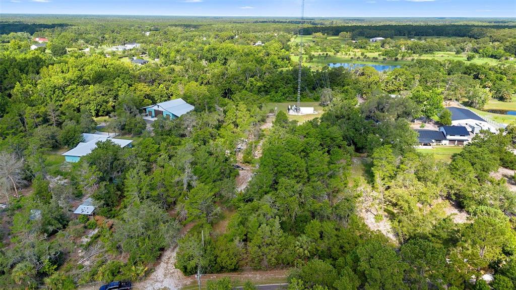 1835 South Glencoe Road New Smyrna Beach, FL 32168 - Photo 23 of 29 a view of a lush green forest with lots of trees