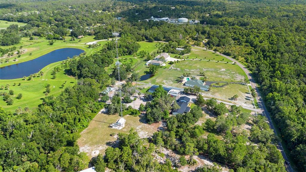 1835 South Glencoe Road New Smyrna Beach, FL 32168 - Photo 29 of 29 a view of a yard with yellow plants and tree