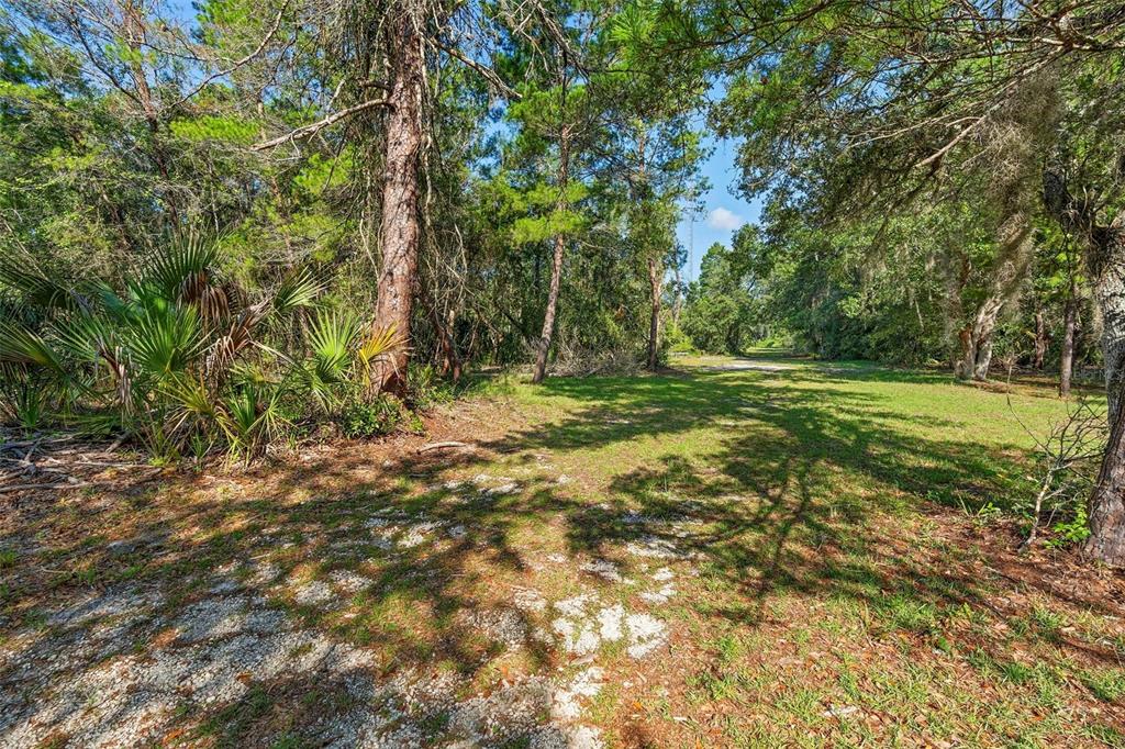 1835 South Glencoe Road New Smyrna Beach, FL 32168 - Photo 7 of 29 a big yard with lots of green space and trees