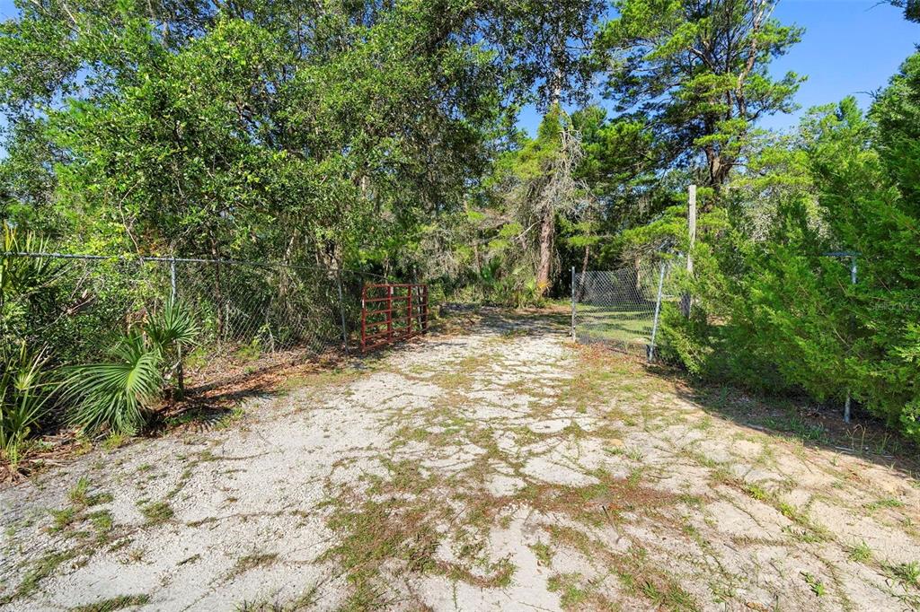 1835 South Glencoe Road New Smyrna Beach, FL 32168 - Photo 8 of 29 a view of a yard with plants and trees